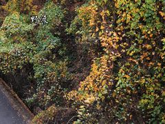 -南山风景名胜区