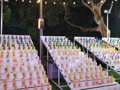 -西湖外事游船(湖滨二公园外事游船码头)