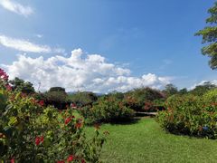 -中国科学院西双版纳热带植物园