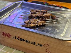 -福苗小骆驼烧烤(莲湖路店)