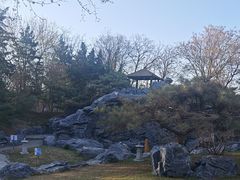-和园景逸大酒店朗月汤泉