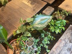 -邈墨茶馆(大兜路1号店)