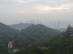-大金鹰园