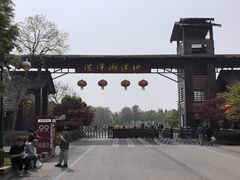 -泗洪洪泽湖湿地景区