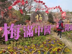 -无锡梅园公园