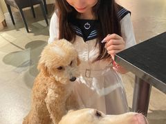 -百好乐宠物友好餐厅(朝外大街店)