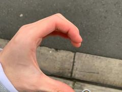 -上海外滩茂悦大酒店