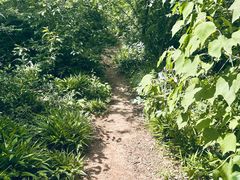 -青龙山国家森林公园
