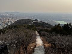 -北京西山国家森林公园