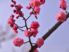 -南湖国家城市湿地公园