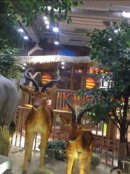点击看大图 -鲁比猴非洲探索部落(喜盈门店)