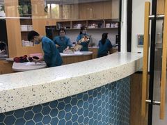 -联合动物医院(光谷诊疗中心)