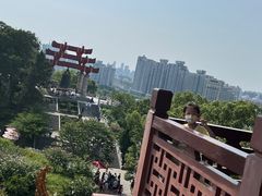 -黄鹤楼公园(黄鹤楼)