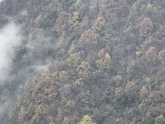 -塔云山