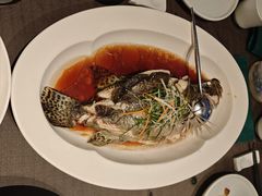 -望乡楼上海菜(日月光店)