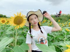 -光明小镇欢乐田园