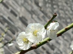 -北京明城墙遗址公园