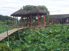 -舟山甬东休闲鱼庄(农家乐)