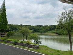 -宜兴龙背山森林公园