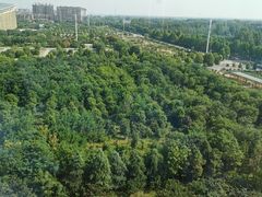 -南阳建业森林半岛假日酒店