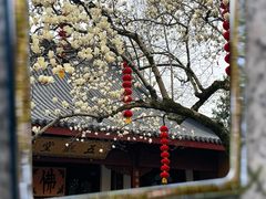 -杭州上天竺法喜讲寺