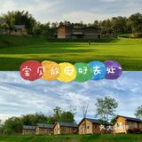 带宝贝体验“绿野仙踪”🌴