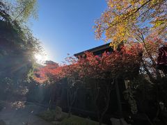 -湖滨客舍·湖北菜