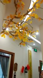 -芳朵美容养生SPA