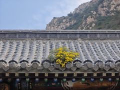 -鸡鸣山旅游风景区