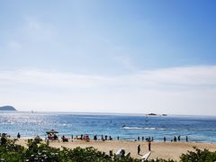 -糟粕醋·椰苑海南菜餐厅(亚龙湾天域酒店)