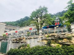 -老幺泉水鸡