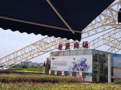 香薰山谷-紫颐香薰山谷景区