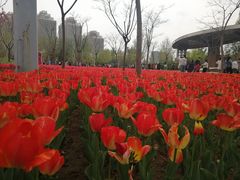 -廊坊文化艺术中心