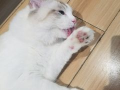-听TA说宠咖·宠物生活馆(天韵水岸店)