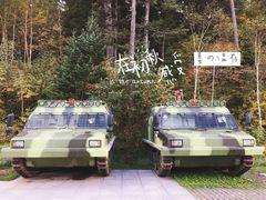 -五营红松林海景区