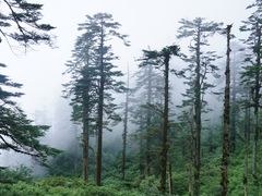 -瓦屋山景区