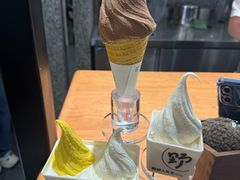 -野人先生Gelato(上海长宁龙之梦店)