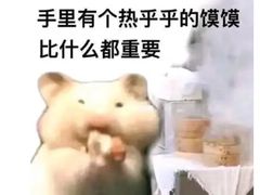 -中天钢铁体育馆(南一门店)