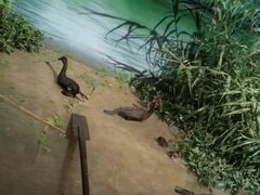-中国湿地博物馆