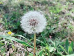 -苏州吴中太湖旅游区