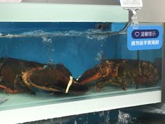 -盒马鲜生(大成店)