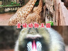 -长鹿旅游休博园