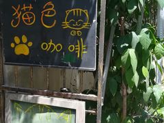门面-猫色咖啡·猫咖