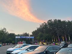 -枫花园汽车电影院(朝阳公园店)