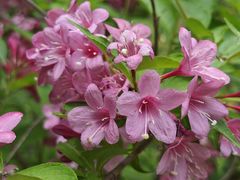 -北京植物园-展览温室