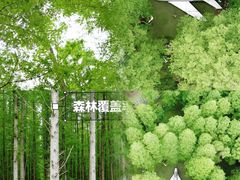 -东平国家森林公园