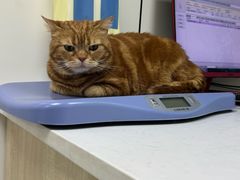 -贝康宠物医院·犬猫全科·小动物特色诊疗中心(东环路店)