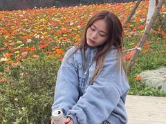 -秀丽东方