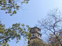 -江心屿景区