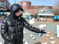 -烟台海昌鲸鲨海洋公园